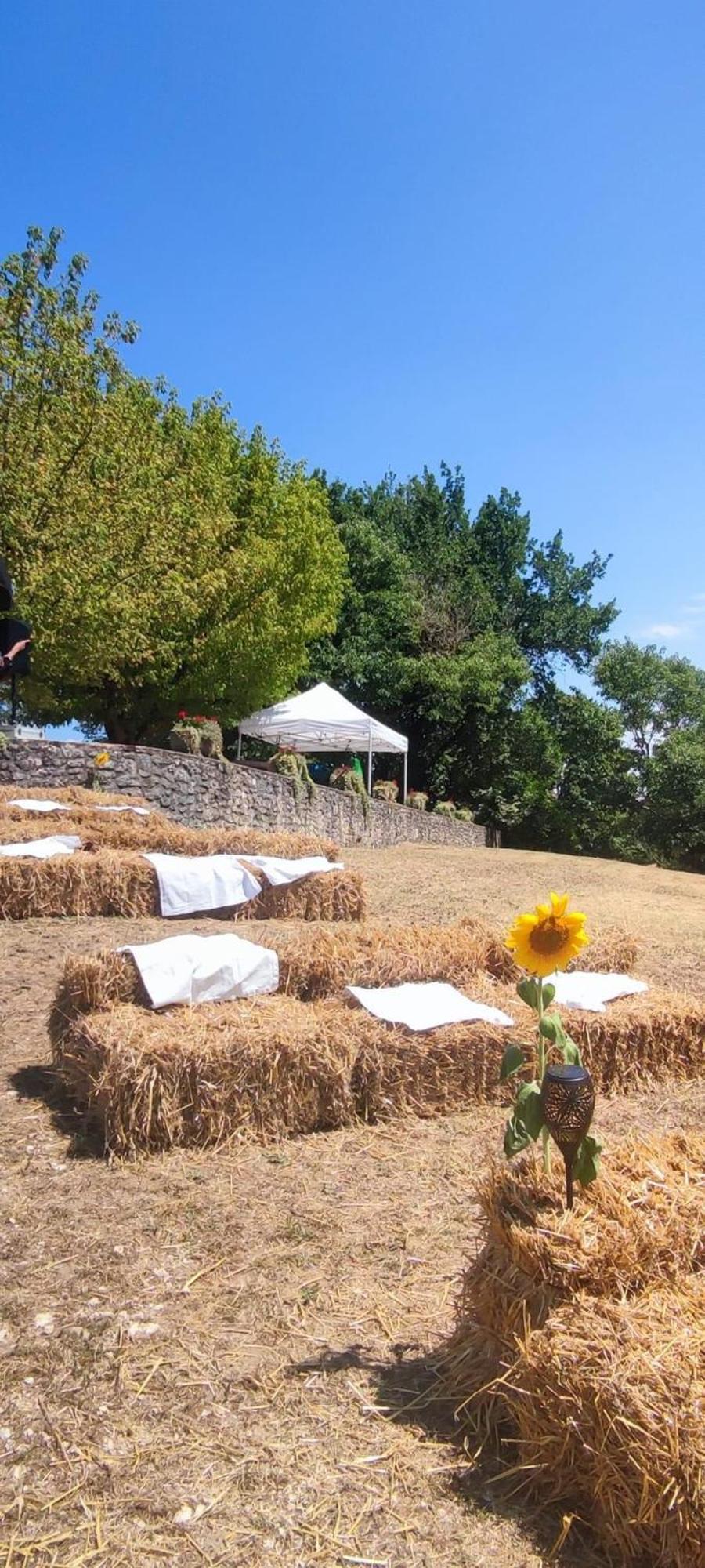 Hotel Restaurant La Dame Du Lac Monflanquin Dış mekan fotoğraf